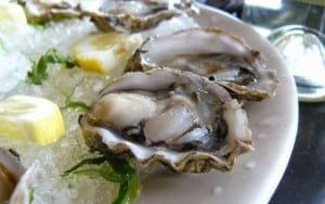 Old Orchard Oysters